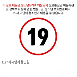 B27섹시망사올인원