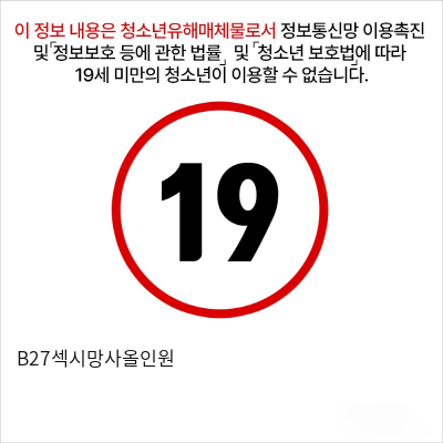 B27섹시망사올인원